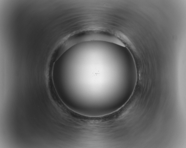 X0000089670436200707051551