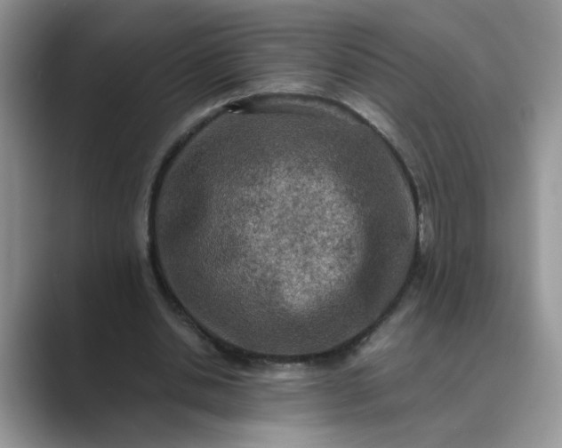 X0000089670438200707051551