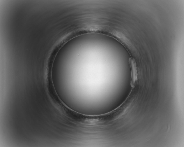 X0000089670440200707051551