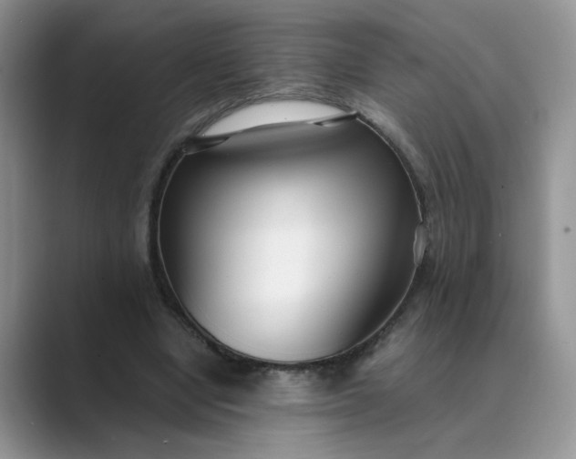 X0000089670442200707051551