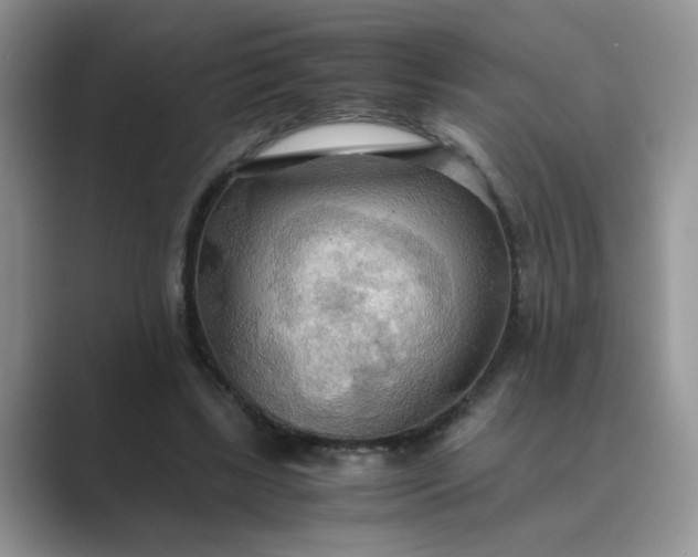 X0000089670443200707051551