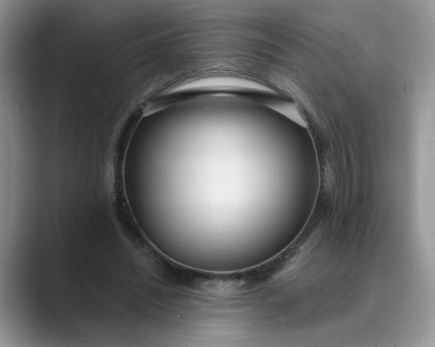X0000089670444200707051551