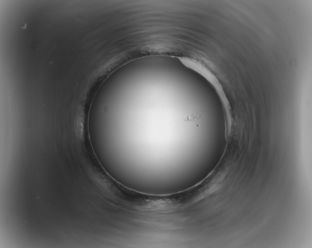 X0000089670446200707051551