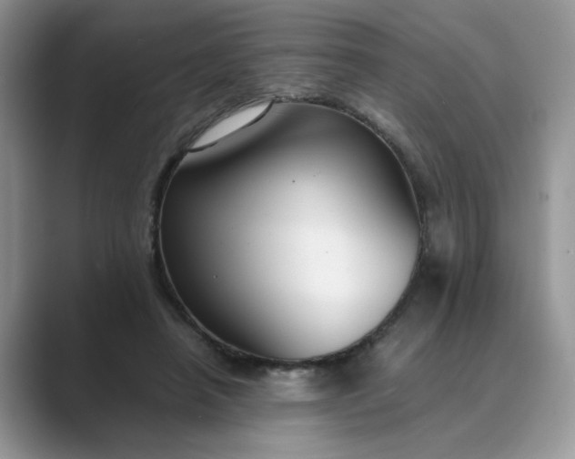 X0000089670450200707051551