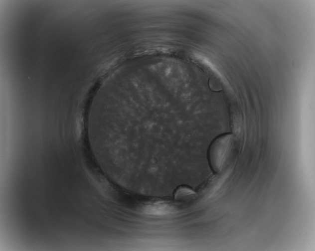 X0000089670451200707051551