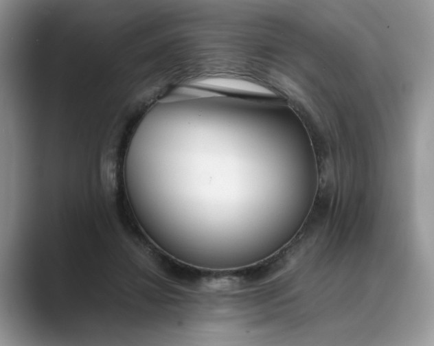 X0000089670452200707051551