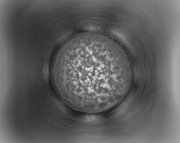 X0000089670453200707051551