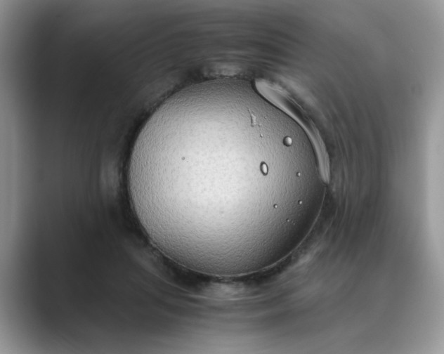X0000089670455200707051551