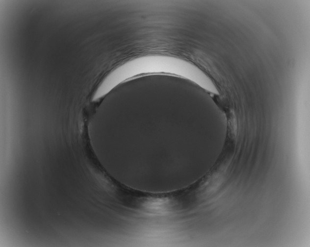 X0000089670458200707051551