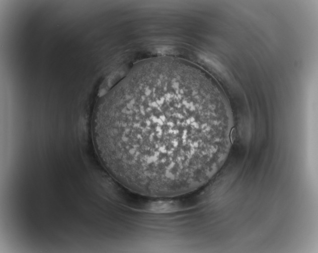 X0000089670461200707051551