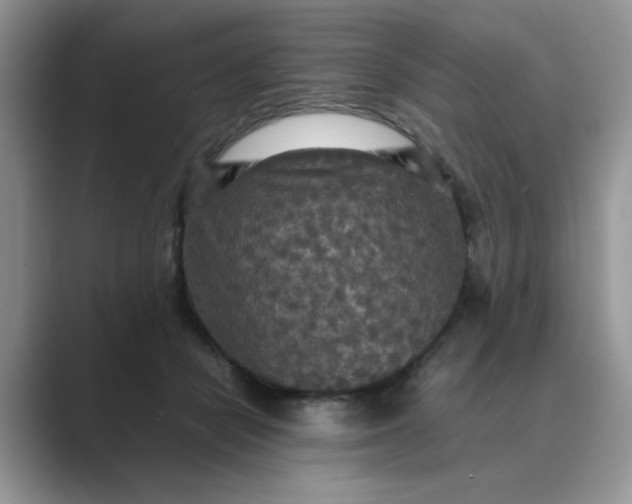 X0000089670462200707051551