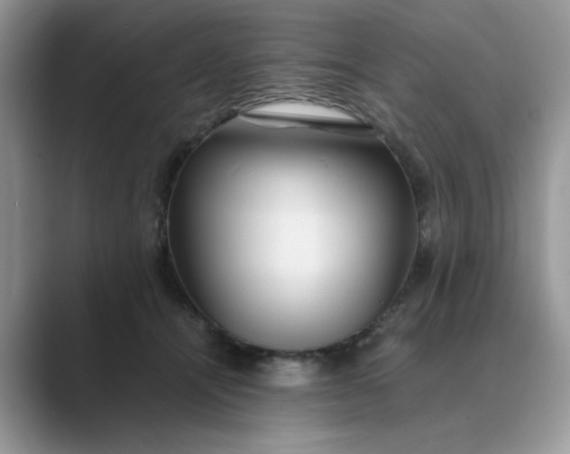X0000089670464200707051551