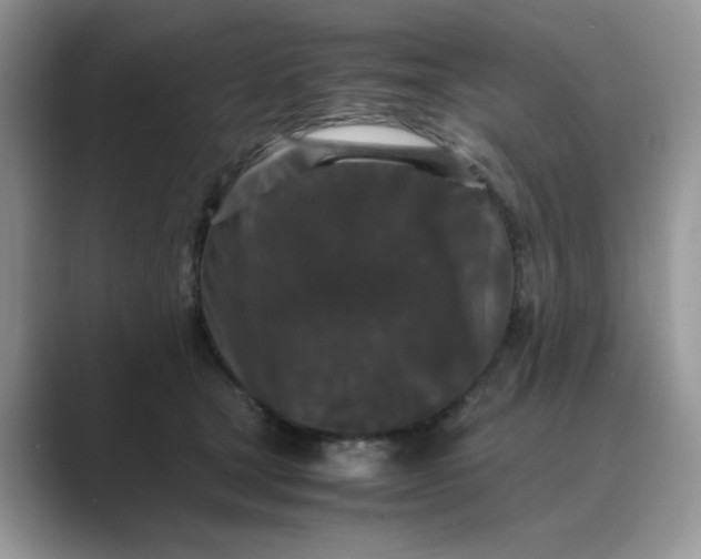 X0000089670465200707051551
