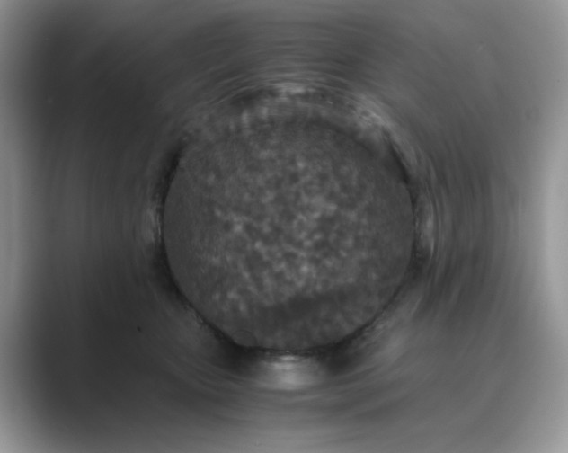 X0000089670467200707051551