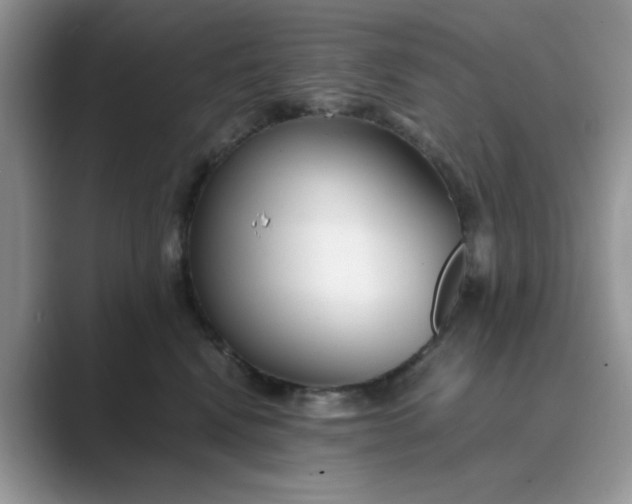 X0000089670472200707051551