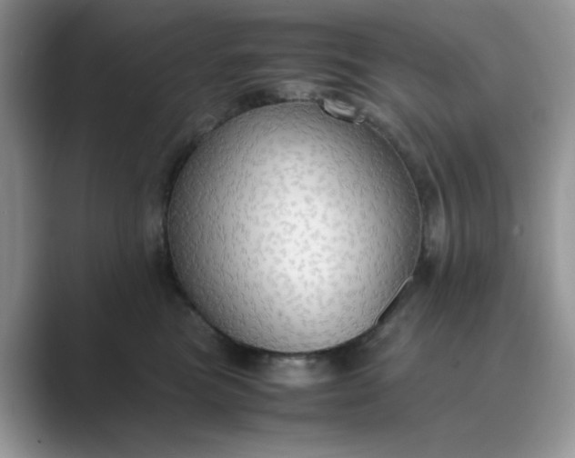 X0000089670473200707051552