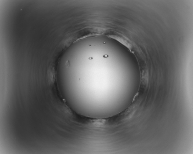X0000089670474200707051552