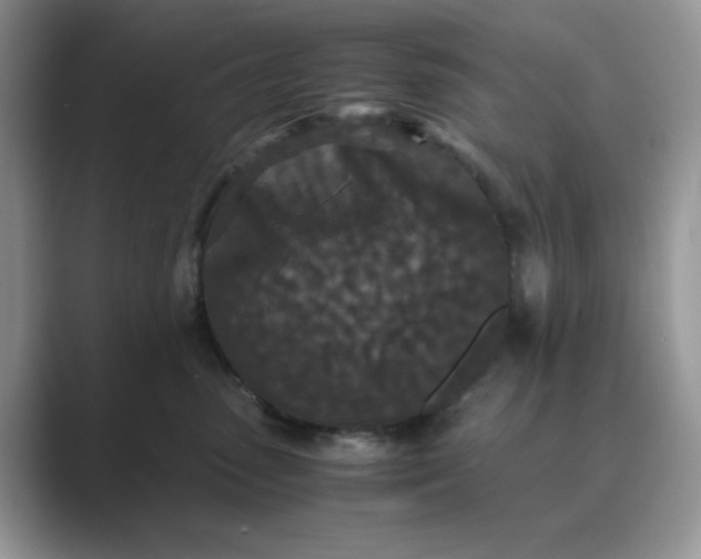 X0000089670475200707051552