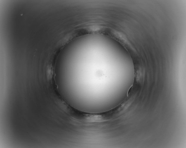 X0000089670476200707051552