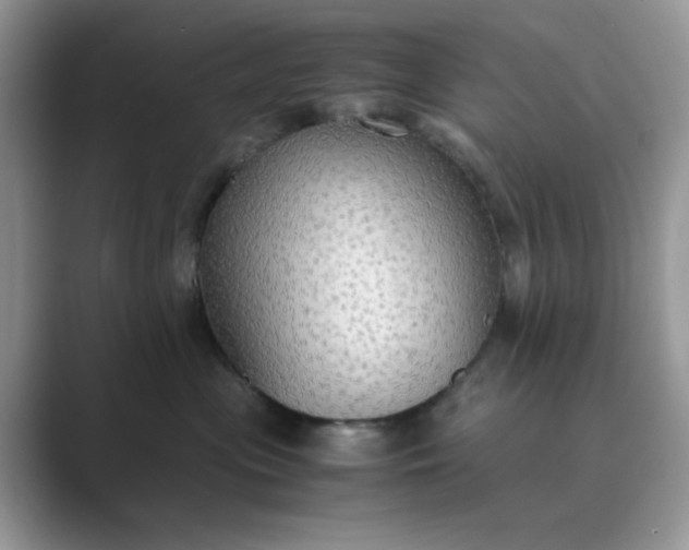X0000089670477200707051552