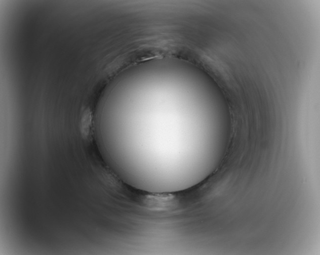 X0000089670480200707051552
