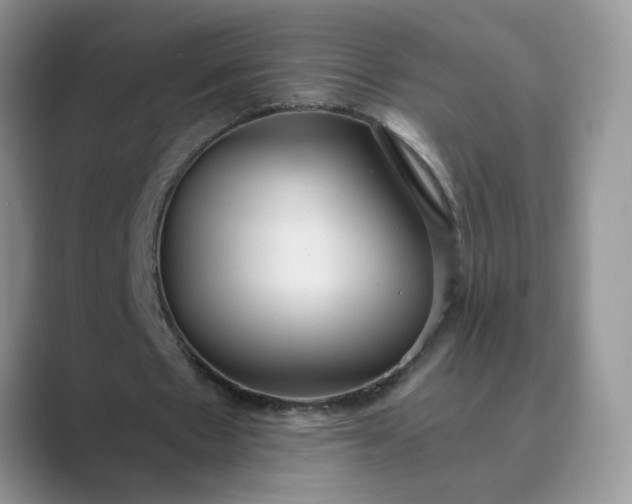 X0000089670481200707051551