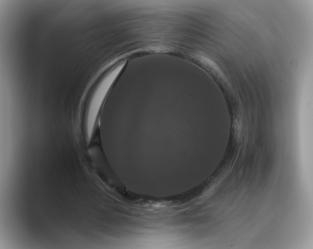 X0000089670484200707051551