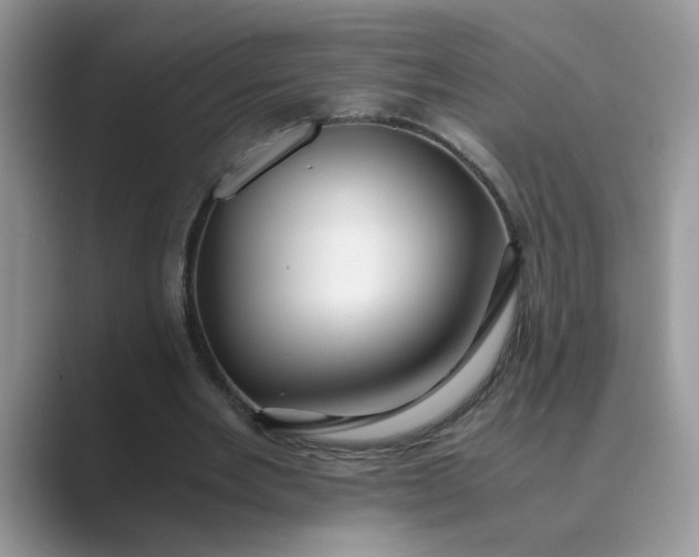 X0000089670485200707051551