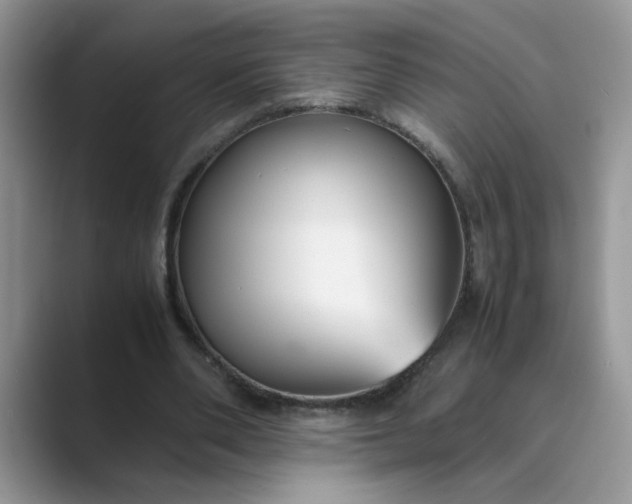 X0000089670486200707051551