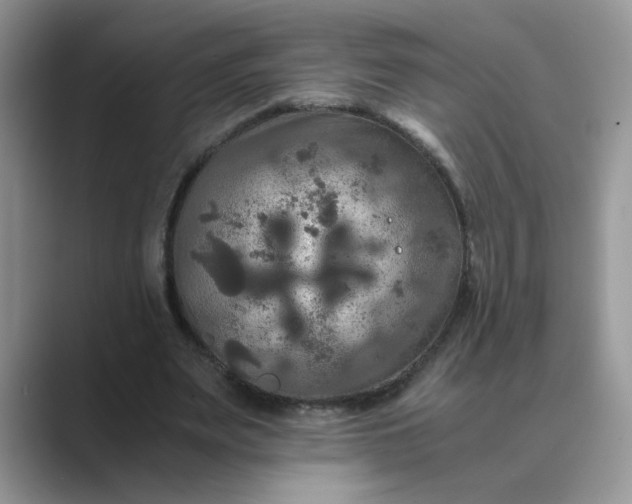 X0000089670487200707051551