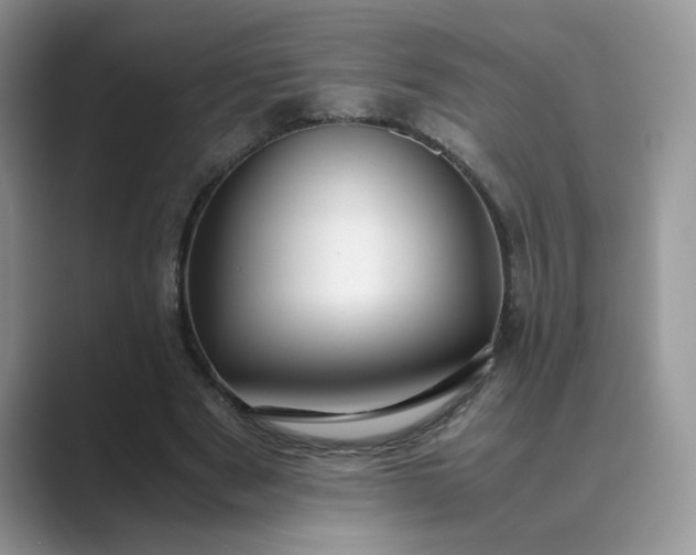 X0000089670489200707051551