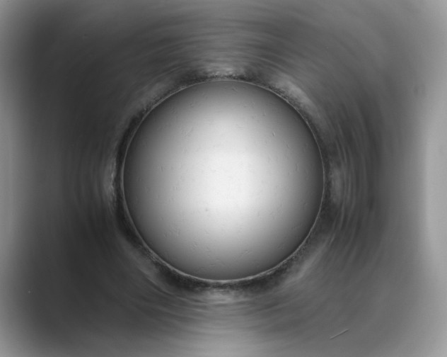 X0000089670490200707051551
