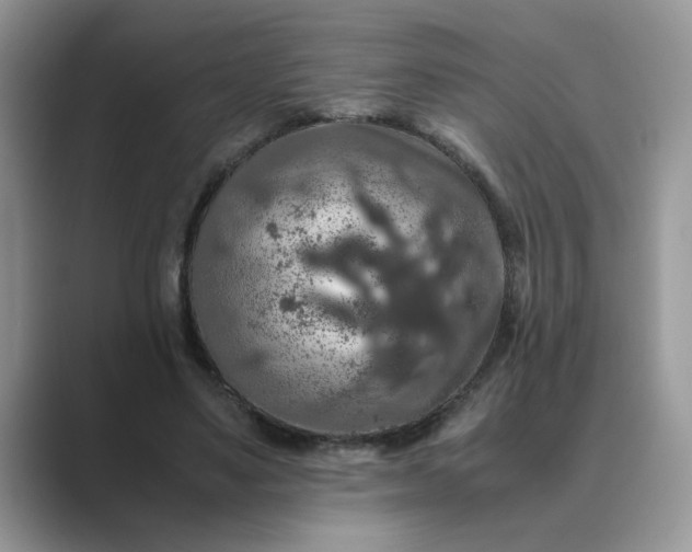 X0000089670491200707051551