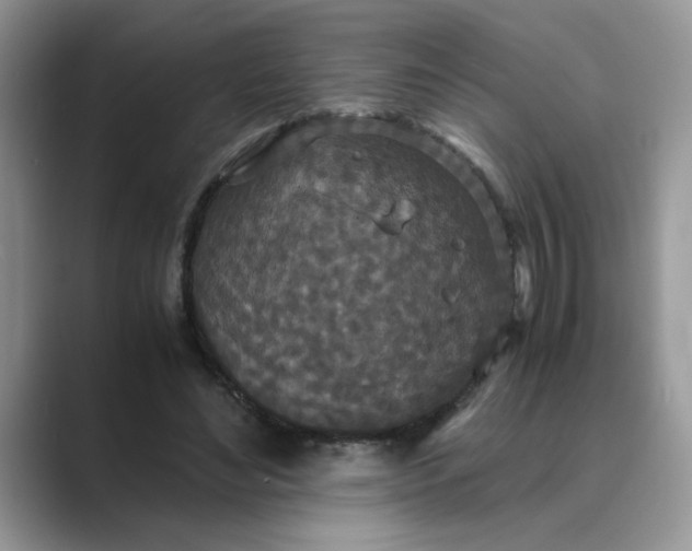 X0000089670492200707051551