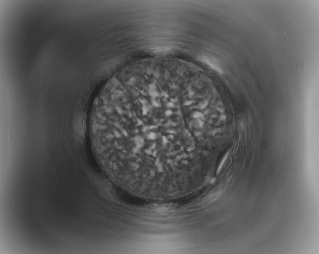X0000089670495200707051551