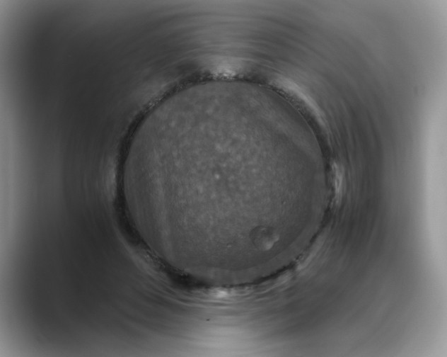 X0000089670496200707051551