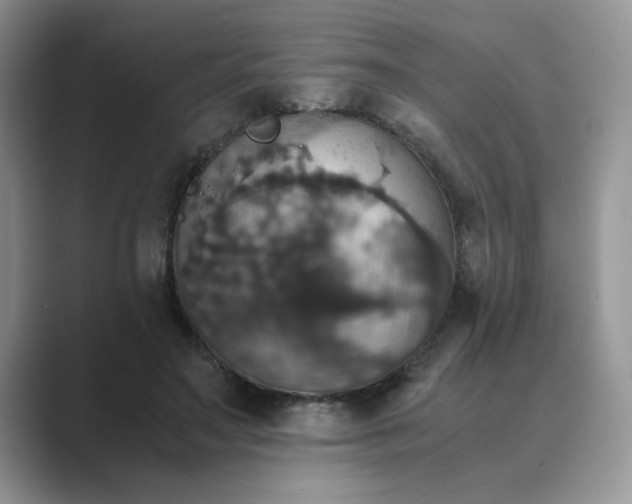 X0000089670499200707051551