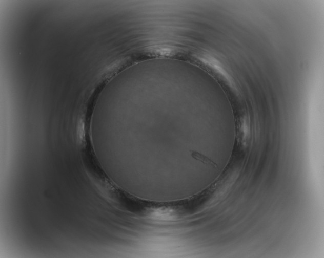 X0000089670500200707051551