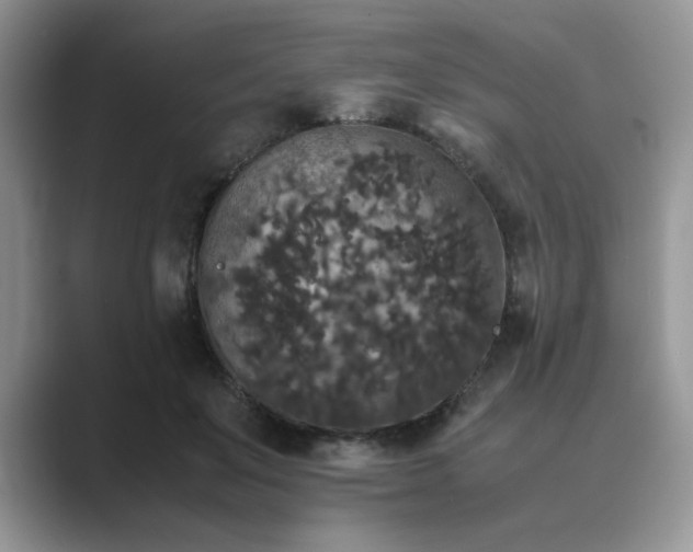 X0000089670503200707051551