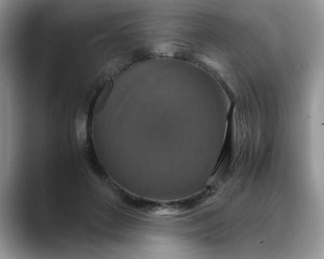 X0000089670504200707051551