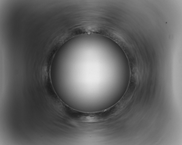 X0000089670506200707051551