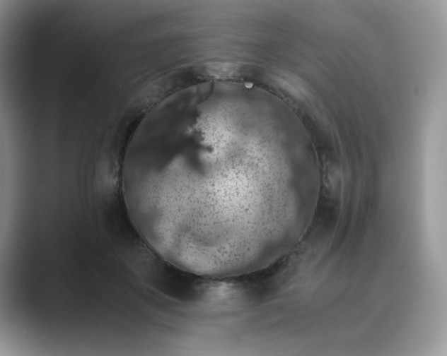 X0000089670507200707051551