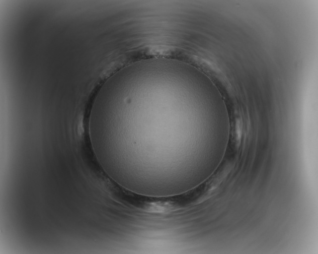 X0000089670508200707051551