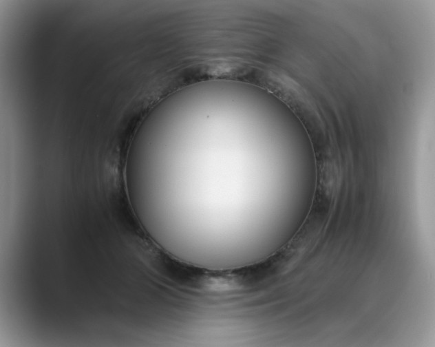 X0000089670510200707051551