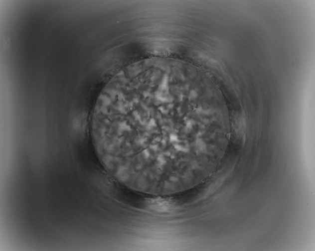 X0000089670511200707051551