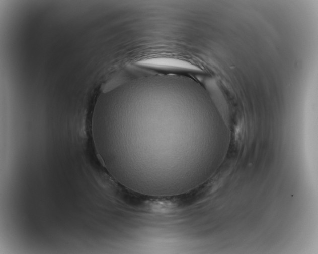 X0000089670512200707051551