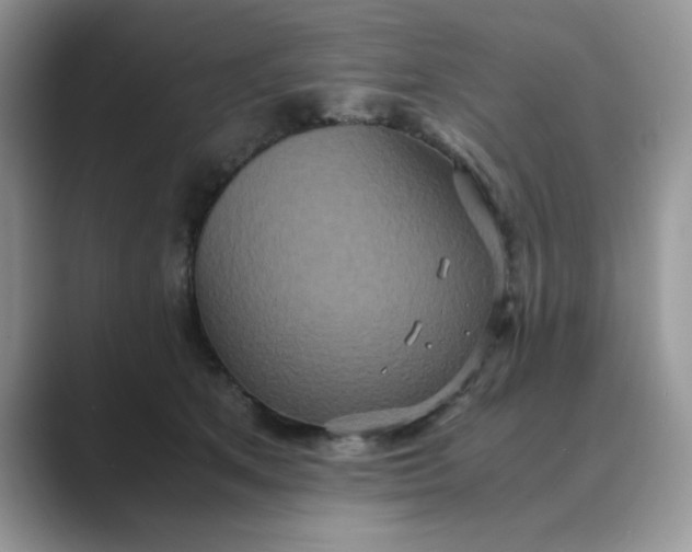 X0000089670513200707051551