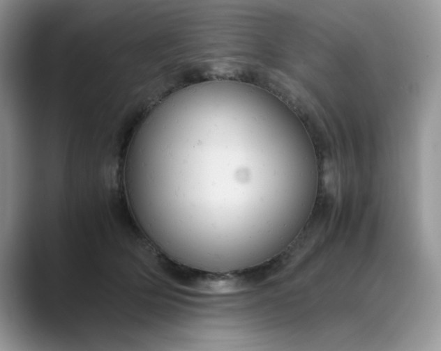 X0000089670514200707051551