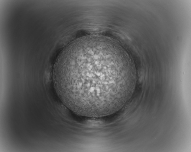 X0000089670515200707051551