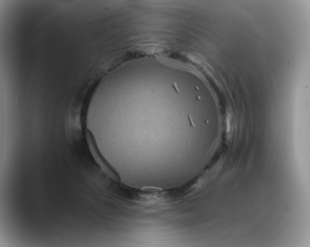 X0000089670516200707051551